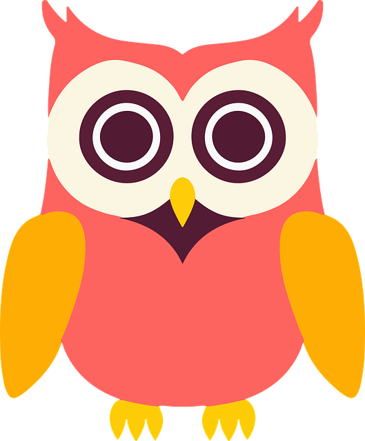 Búho, Pájaro, Aves De Rapiña, Pluma