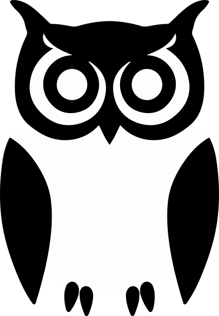 Free Owl Bird vector and picture