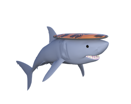 Tubarão, Surfar, Surfando