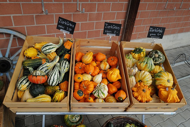 Free Pumpkin Gourd photo and picture
