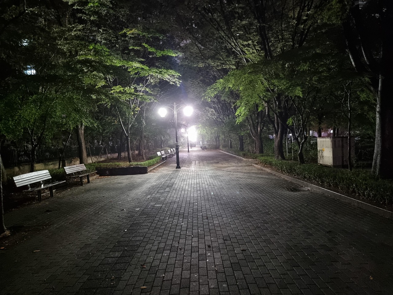 街头公园 夜行 - Pixabay上的免费照片 - Pixabay