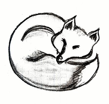 Free Fox Fox Trace photo and picture