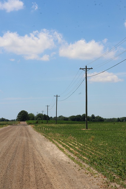 Primavera, El Verano, Granja, País