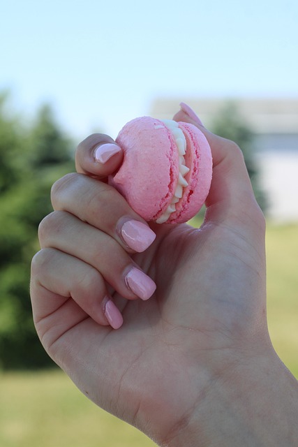 Macaron, Rosado, Pastel De Cumpleaños