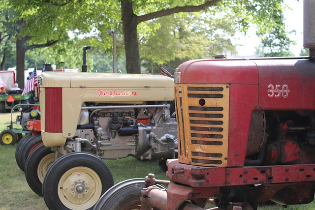 Tractor, Show, Exhibición De Tractores