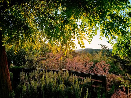 Ca Urmare A, Sevilla, Natură, Holiday