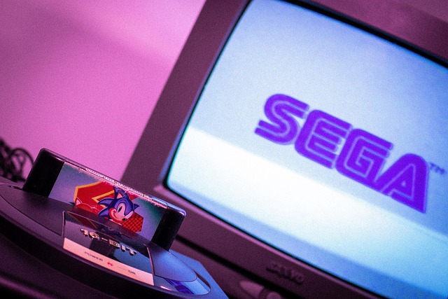 Sega, 90'Erne, Spil, Årgang, Pindsvin
