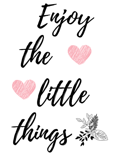 Viel Spaß, Dinge, Blume, Fische, Liebe