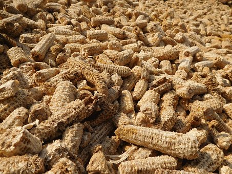 Free Corn Knobs photo and picture