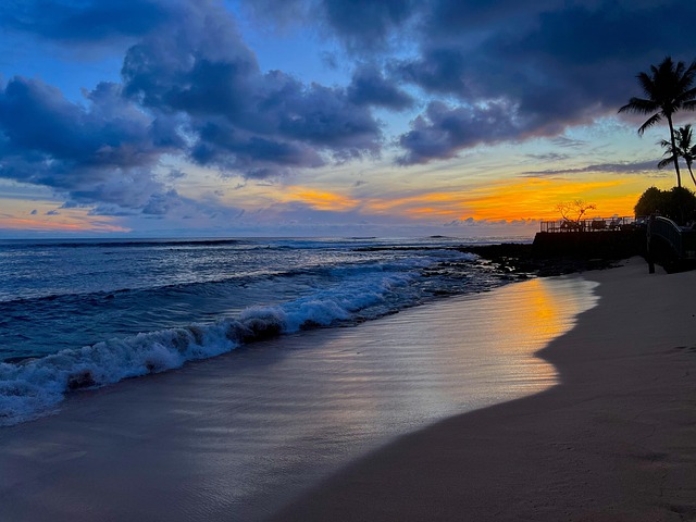 Free Beach Hawaii photo and picture