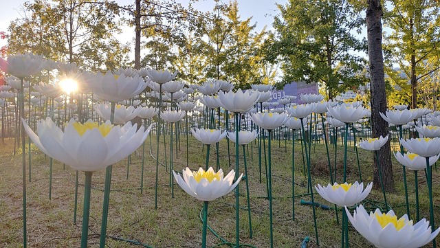 Free Flower Nature photo and picture