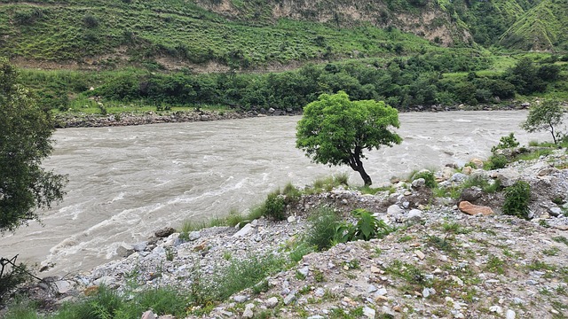 Free Nepal Trekking photo and picture