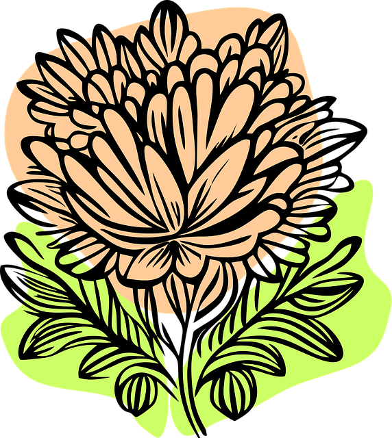Free aster flower bloom vector
