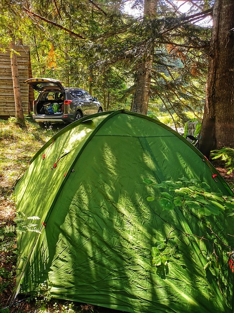Sonew Hamac de tente de camping Hamac de camping pour deux personnes