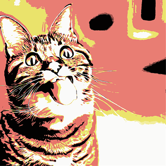 Salivând, Pisică, Kitty, Felină, Fericit