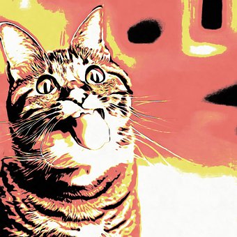 Dribling-O Păsărică, Felină
