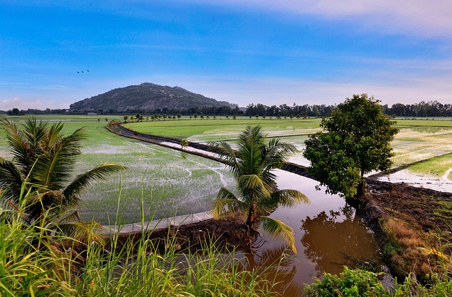 Free Water Vietnam photo and picture