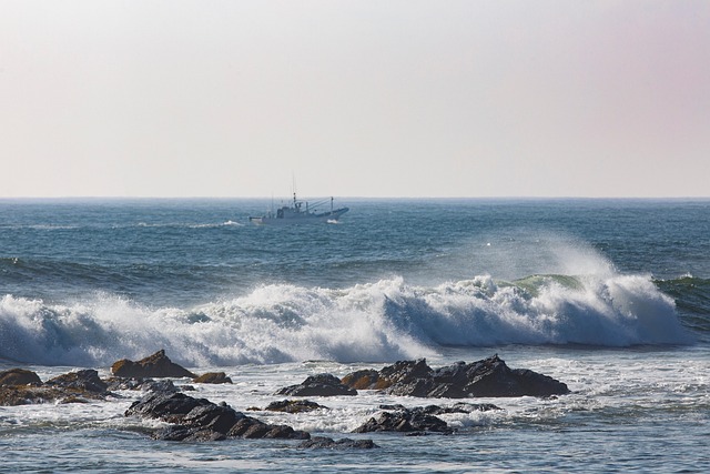 Free Boat Sea photo and picture