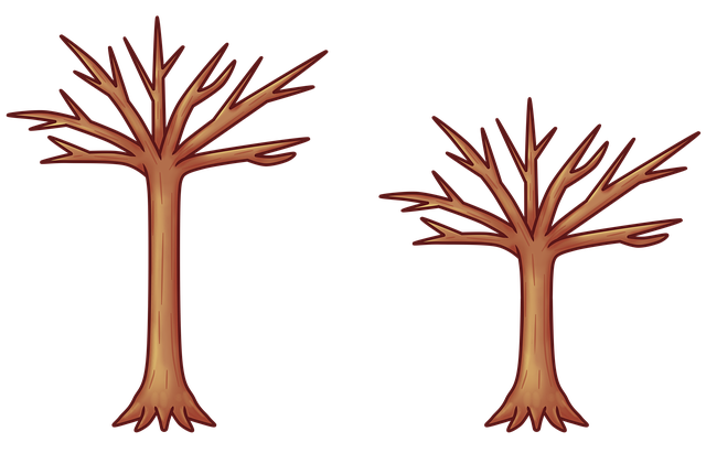 Free tree dried wood illustration