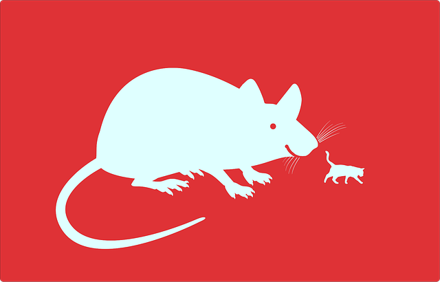 Free mouse cat hunt vector