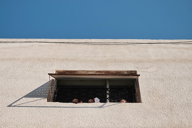 Niños, Ventana, Cielo, Calle, Pared
