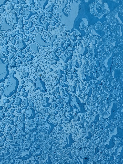 Free Rain Drops photo and picture