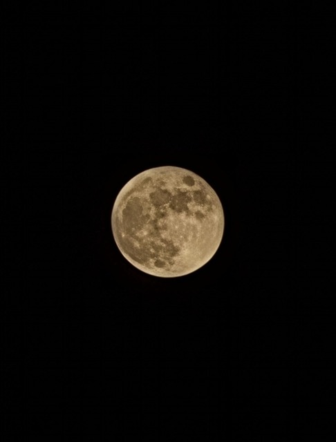 Lua Cheia Noite - Foto gratuita no Pixabay - Pixabay