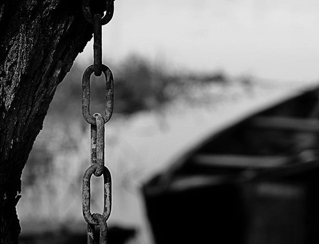 Free Black White Monochrome photo and picture