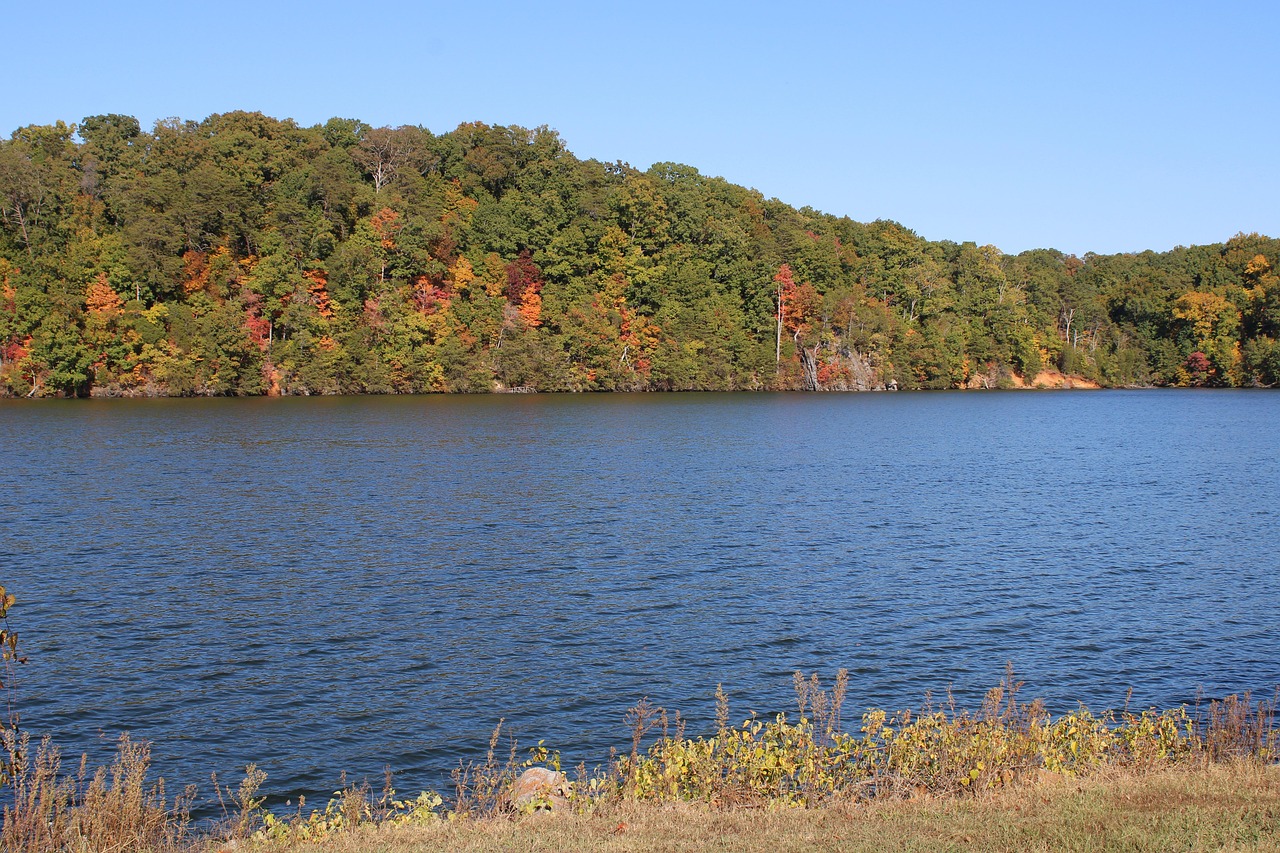 Lake - free online jigsaw puzzle photo