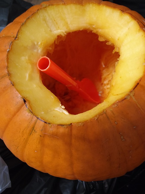 Free Pumpkin Halloween photo and picture