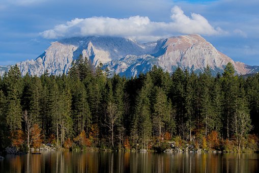 Lac, Ţărm, Pădure, Munte, Toamna