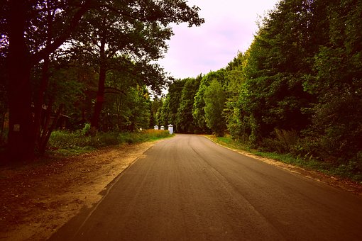 La Carretera, Bosque, Naturaleza, Campo
