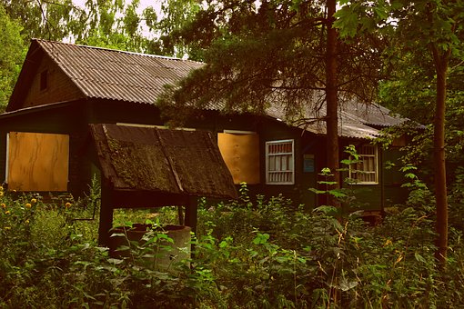 Casa, Cabine, Bosques, Vila, Floresta