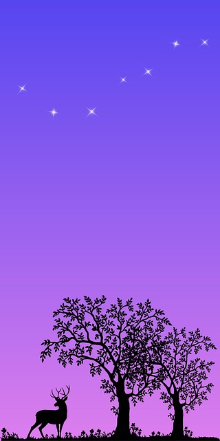Nacht, Sterne, Handy-Hintergrundbild