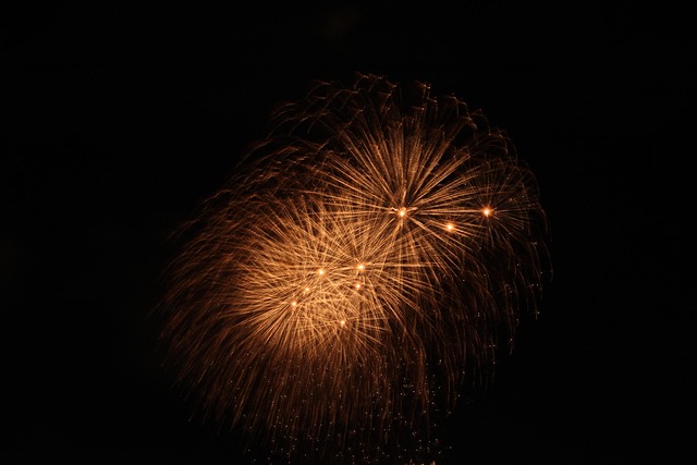 Free Fireworks Sky photo and picture