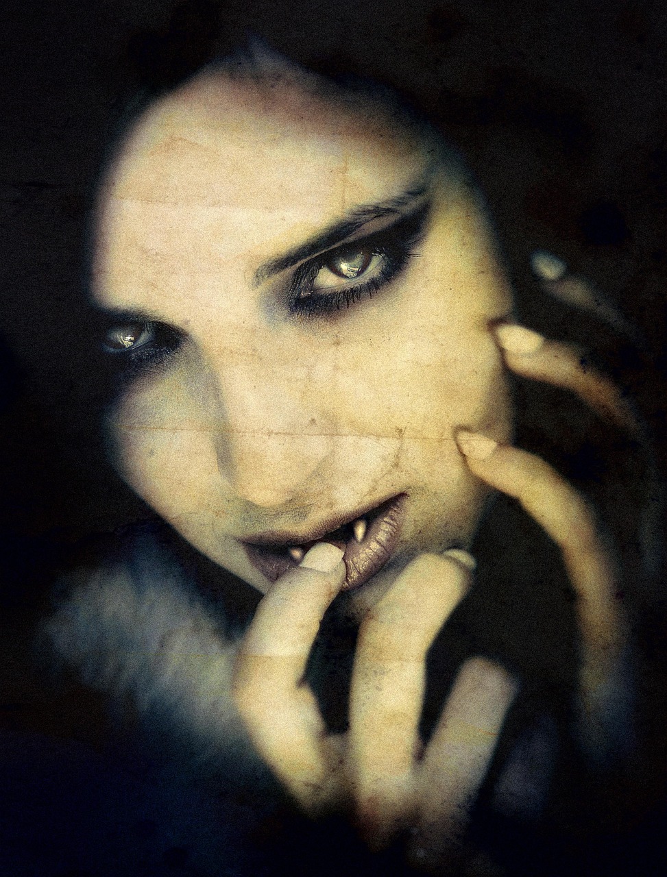 Witch Halloween Vampire Free photo on Pixabay Pixabay