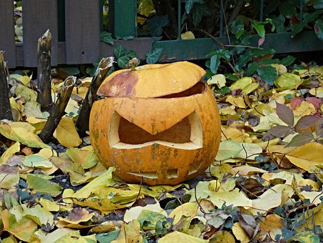 Free Pumpkin Autumn photo and picture