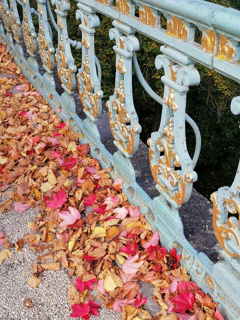 Free Horticulture Fall photo and picture