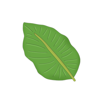 Free Leaf Leaves illustration and picture
