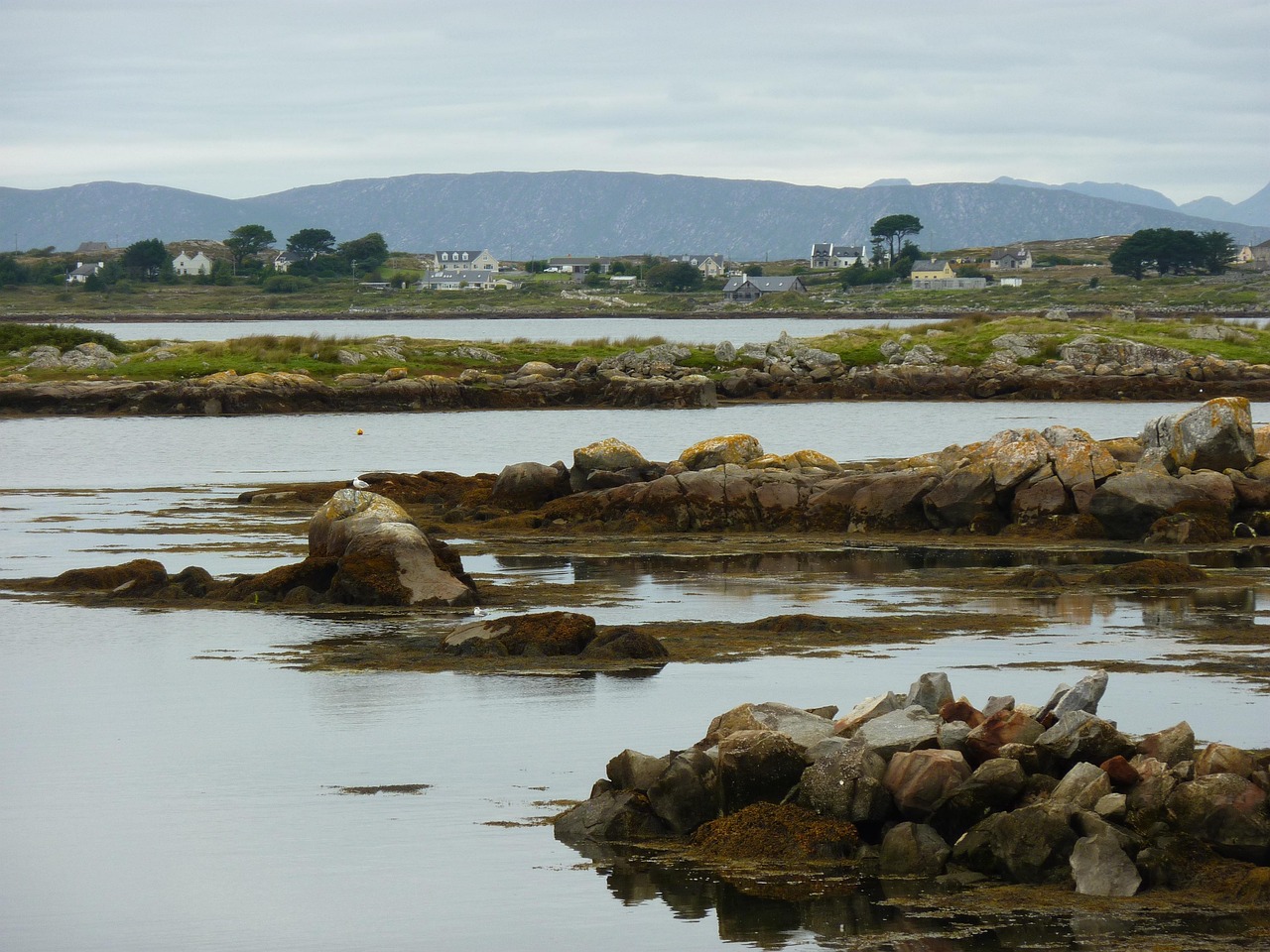 Ireland Landscape Sea Free photo on