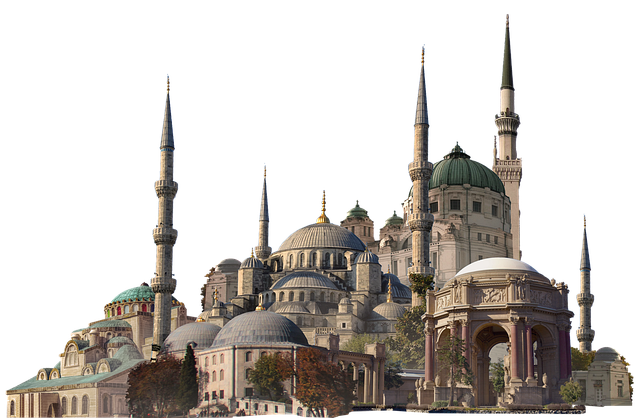 Free fantasy kingdom buildings illustration