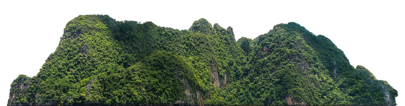 Free Mountain Jungle photo and picture