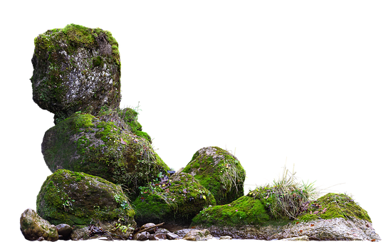 Free Rocks Moss illustration and picture