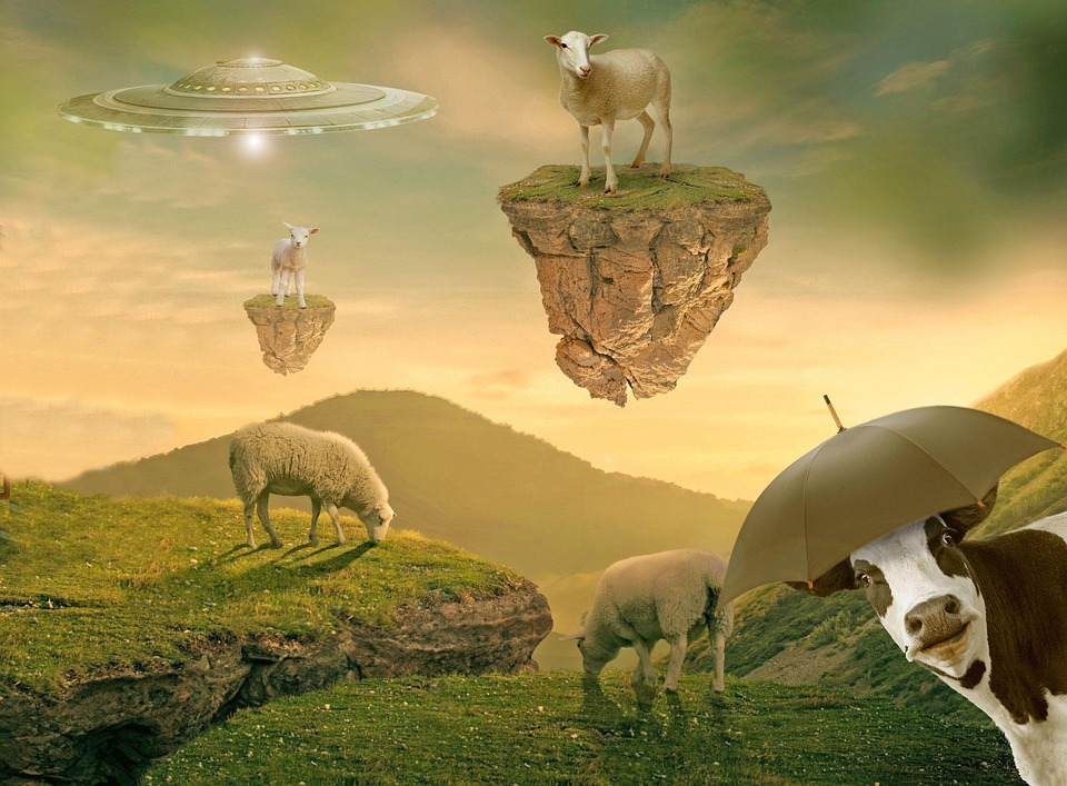 Sheep Animals Mountain Free image on Pixabay