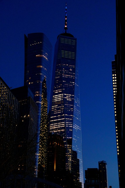 Free City Night photo and picture