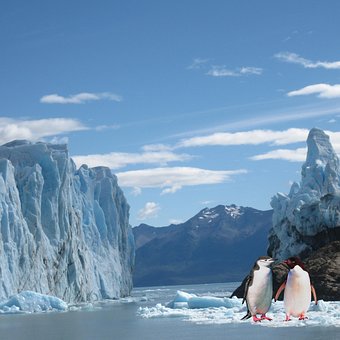Free Beauty Of Ice Cold photo and picture