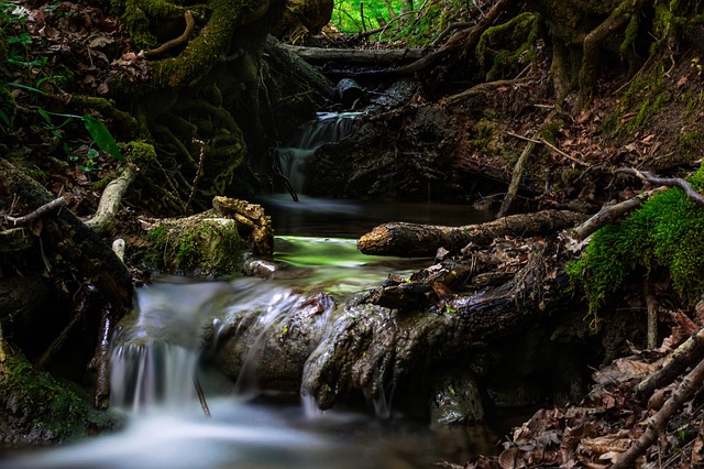 Wasserfall, Fluss, Wald, Dschungel