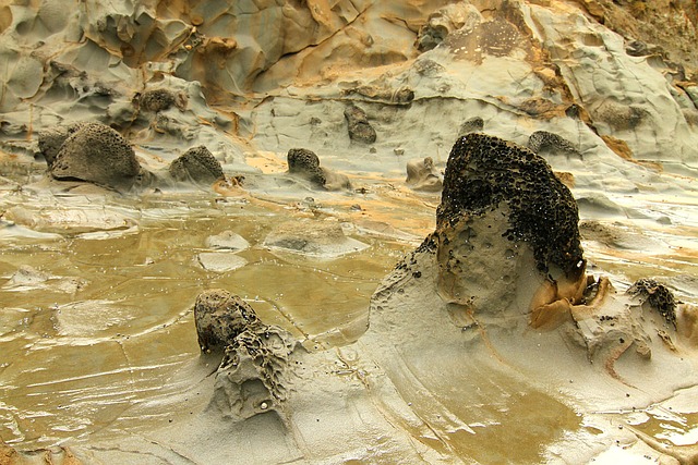 Free Seaside Rocks photo and picture