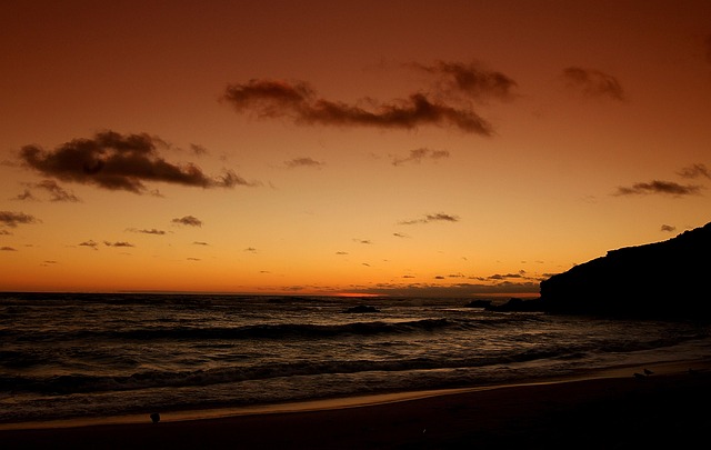 Free Beach Sunset photo and picture