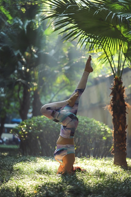 Free Elbow Stand Nature photo and picture